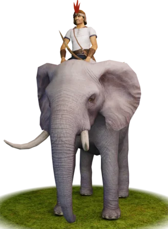 Elephants