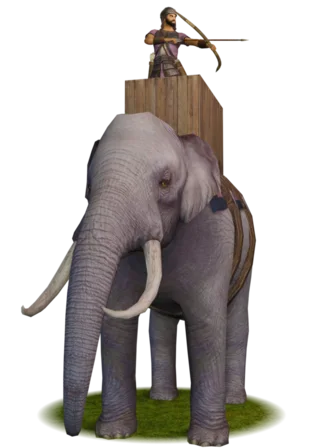 War Elephants