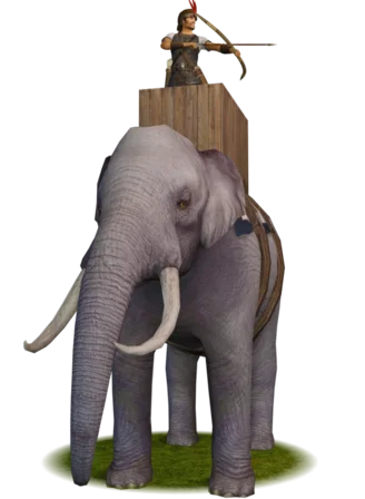 War Elephants