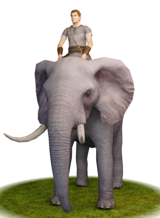 Elephants
